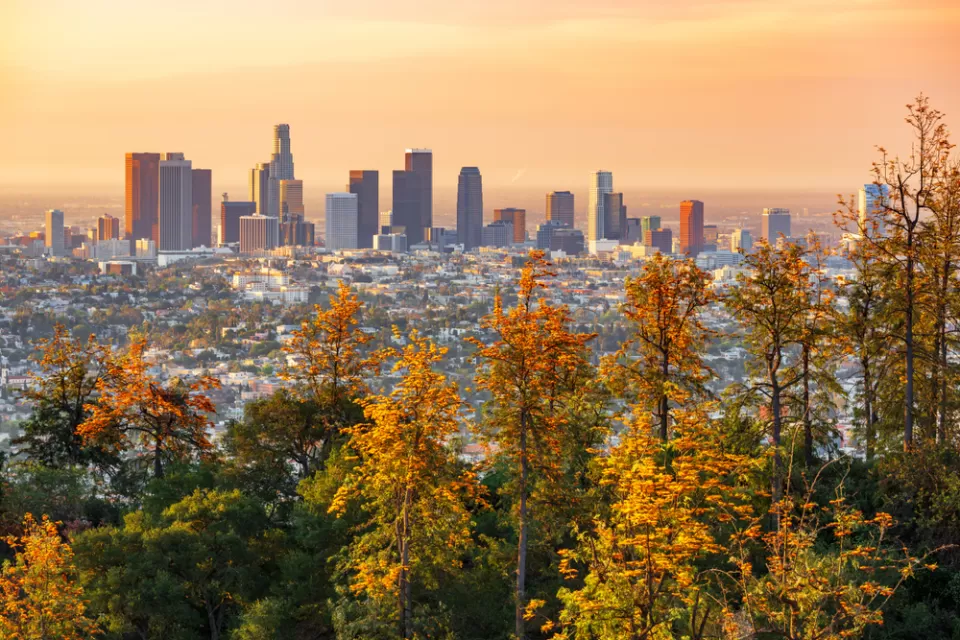 View of Los Angeles skyline at sunrise with yellow and green trees in foreground